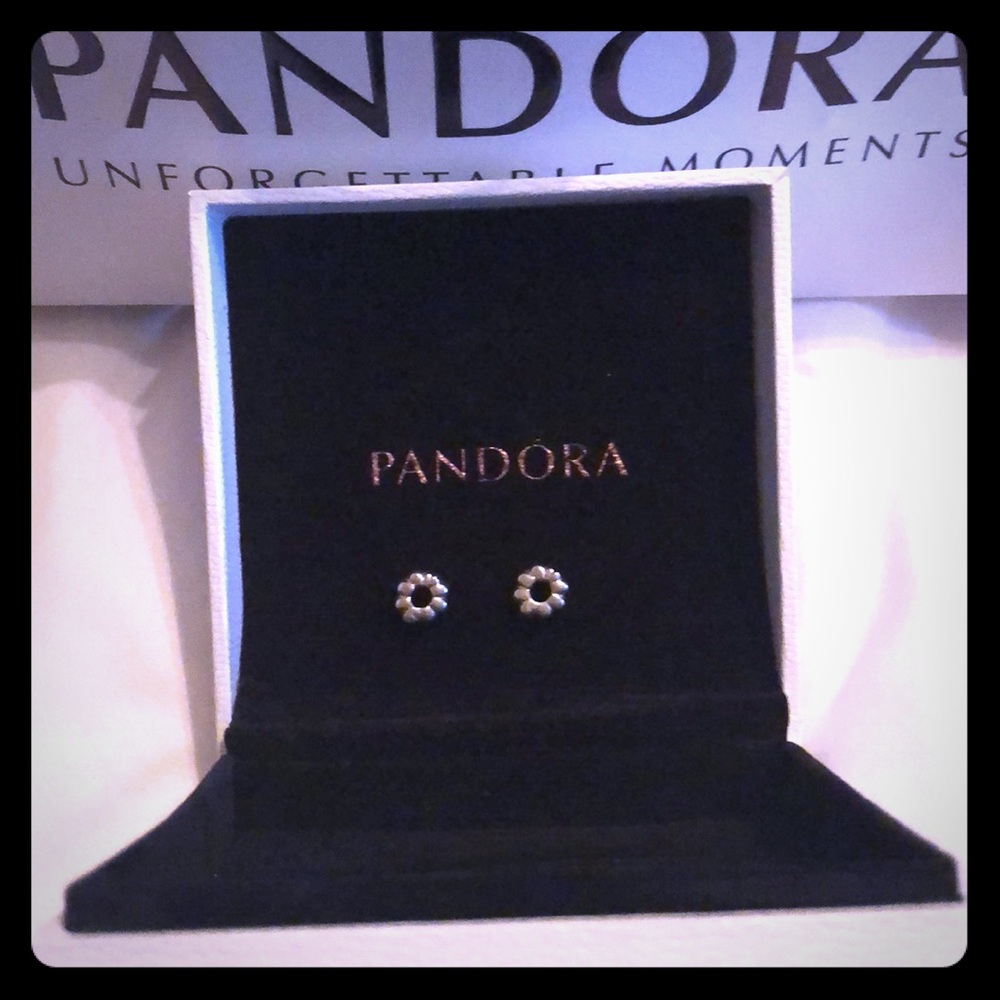 2 Authentic Pandora Ribbed Clip Charms for